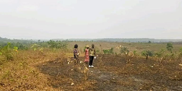 Farm visit by team with beneficiary